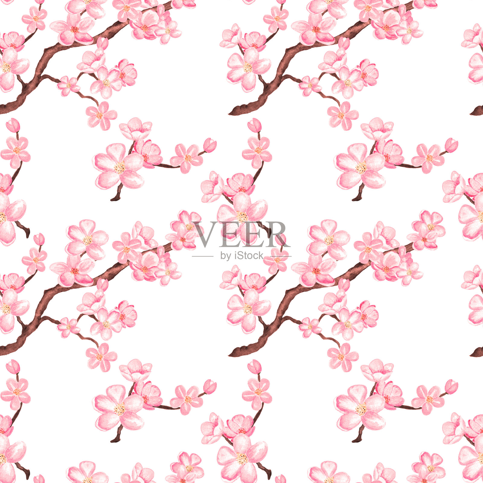 水彩无缝图案有樱花、樱桃树插画图片素材