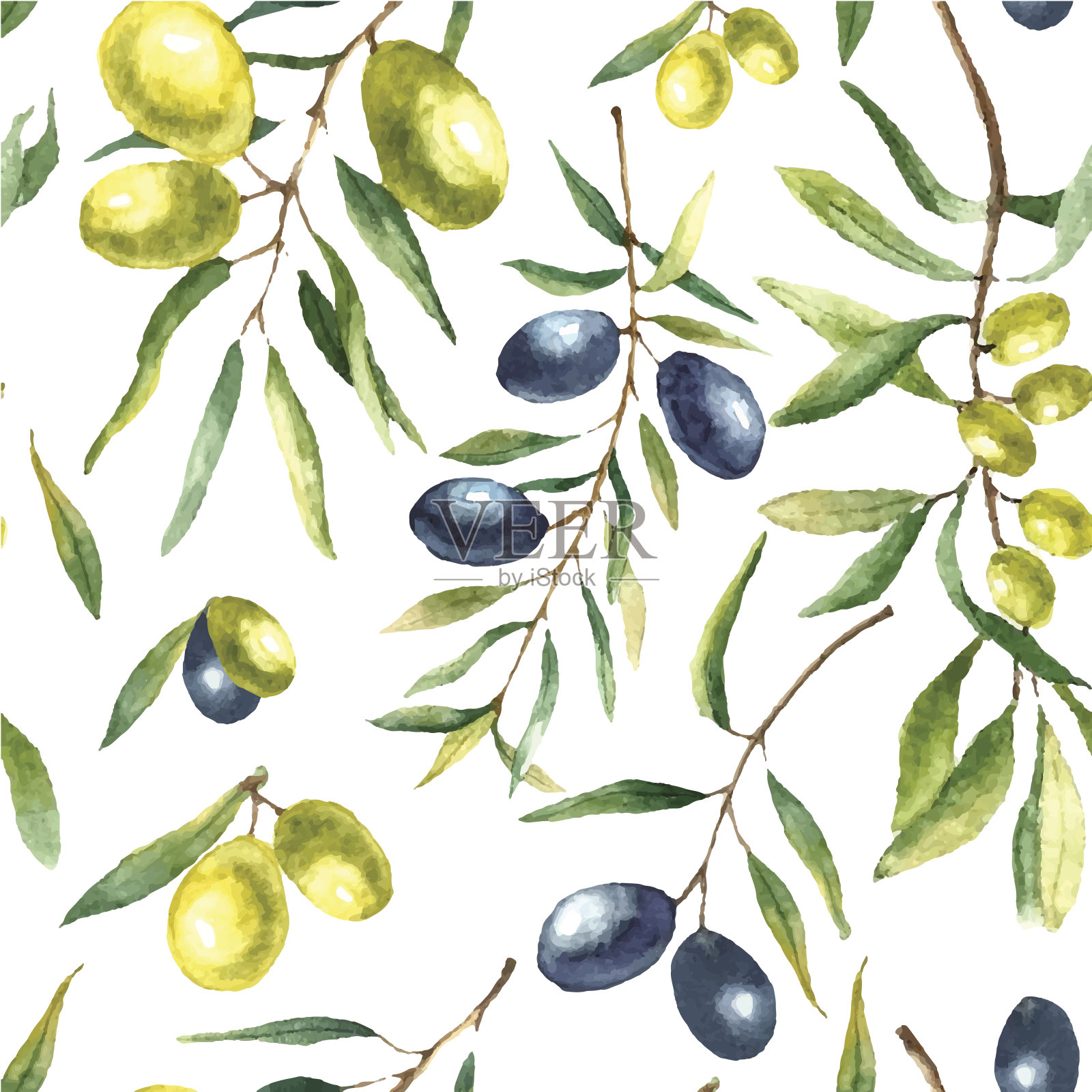 水彩橄榄枝背景。插画图片素材