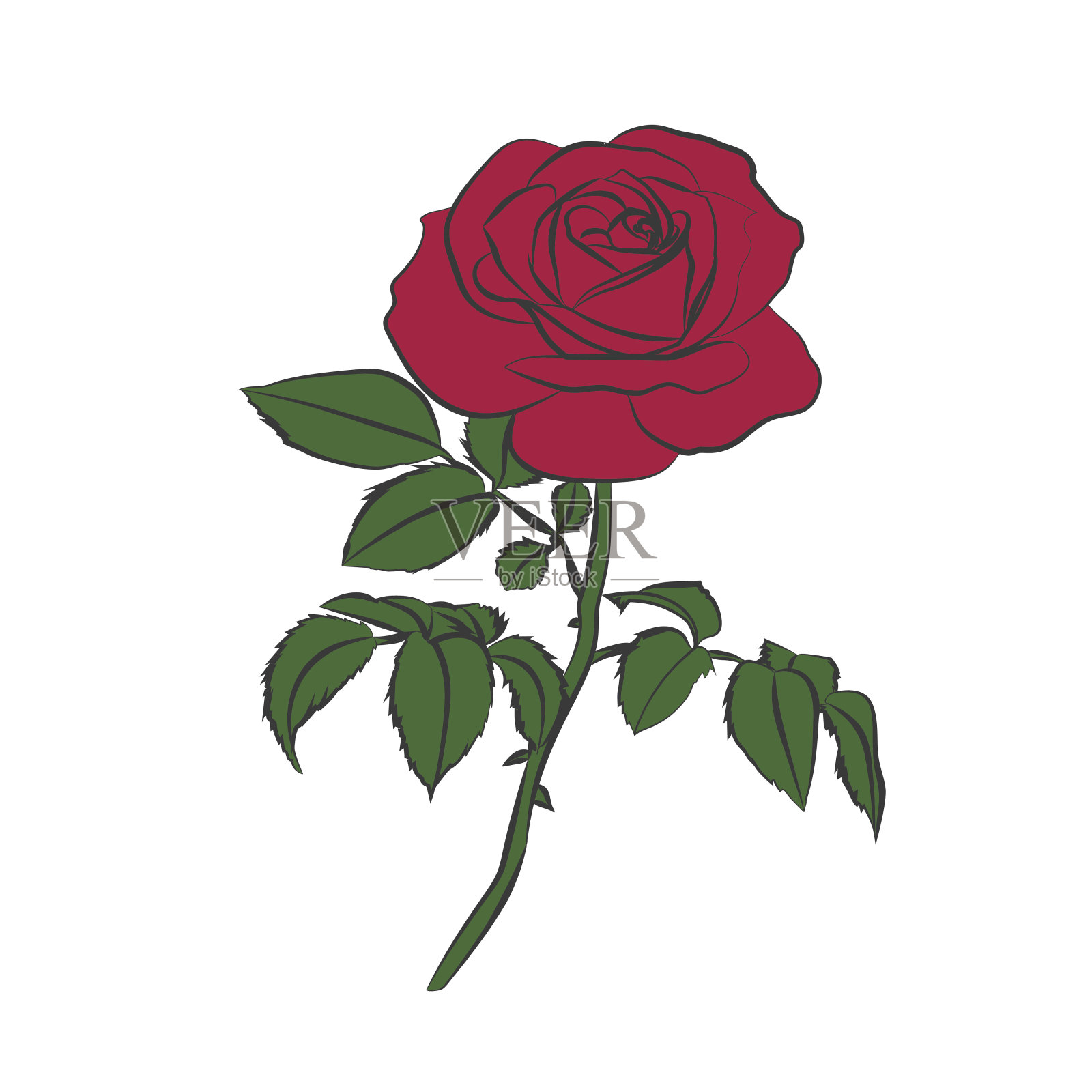 白色背景上的红玫瑰。设计元素图片