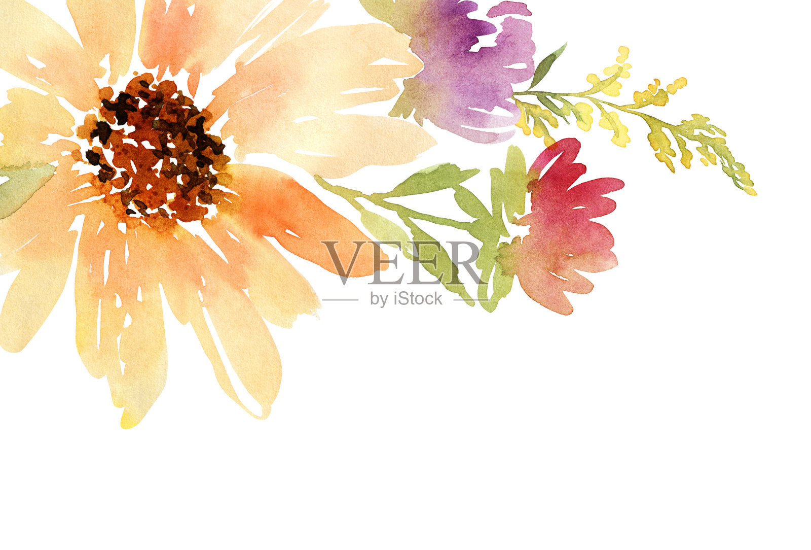 明信片水彩向日葵。的婚礼。花的背景。插画图片素材