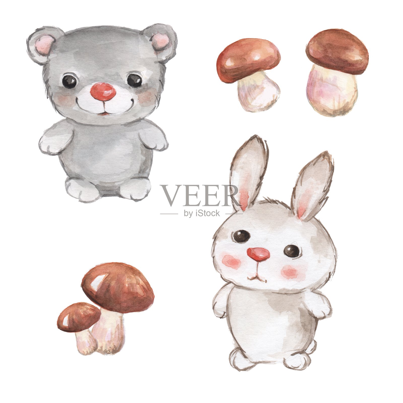 小动物。泰迪和兔子。水彩集插画图片素材