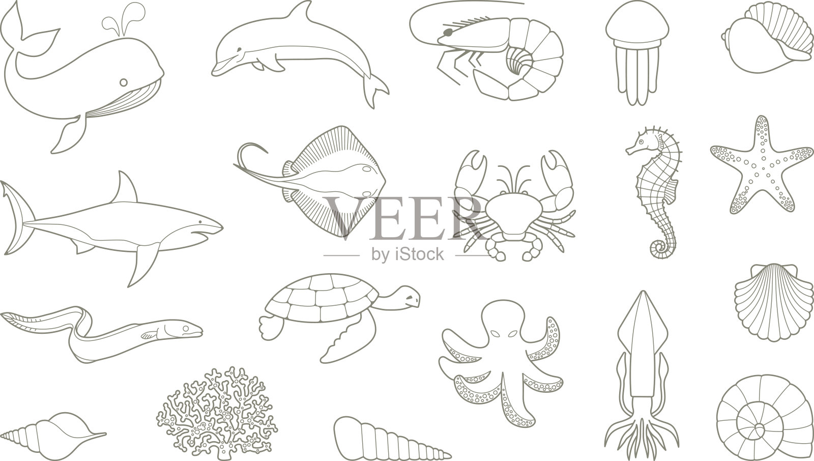 鱼和其他海洋生物插画图片素材