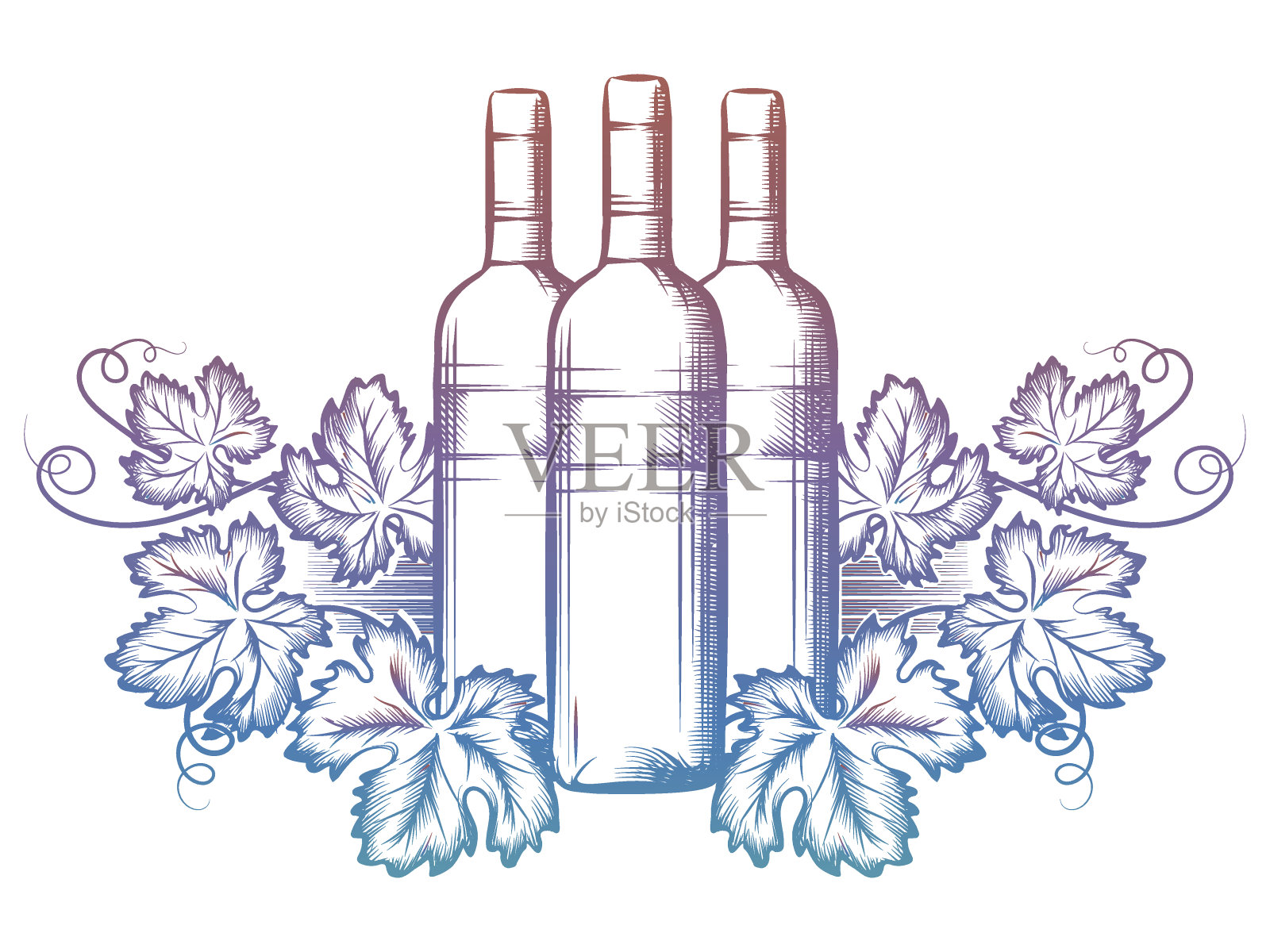 酒瓶和葡萄叶子插画图片素材