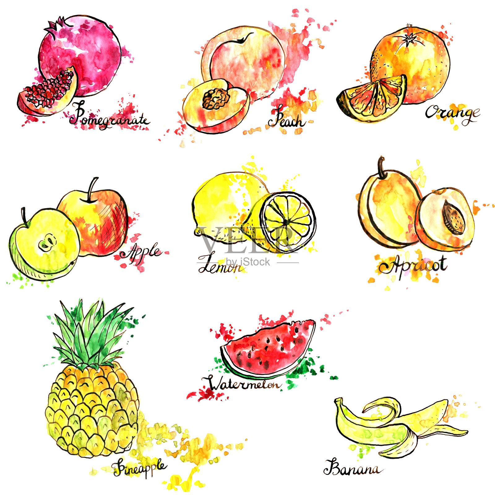 手绘的水果插画图片素材
