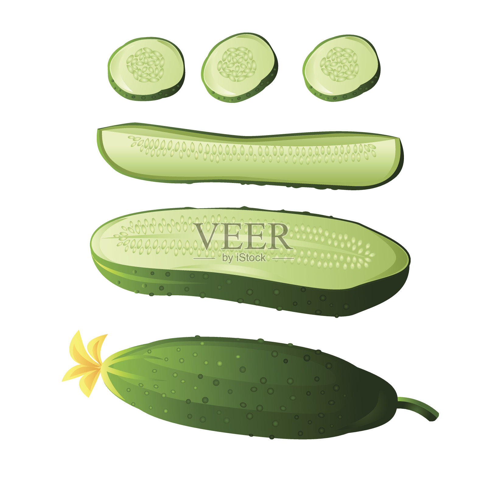 蔬菜插画图片素材