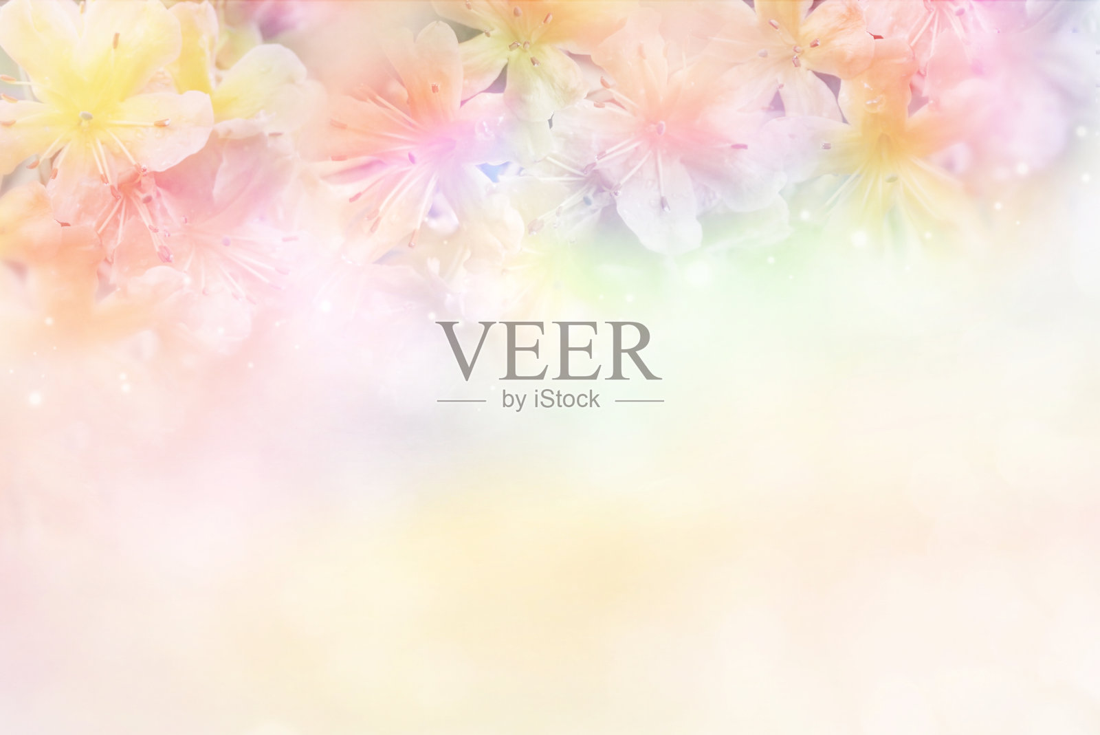 花朵柔和的背景粉色调，适合情人节或婚礼插画图片素材