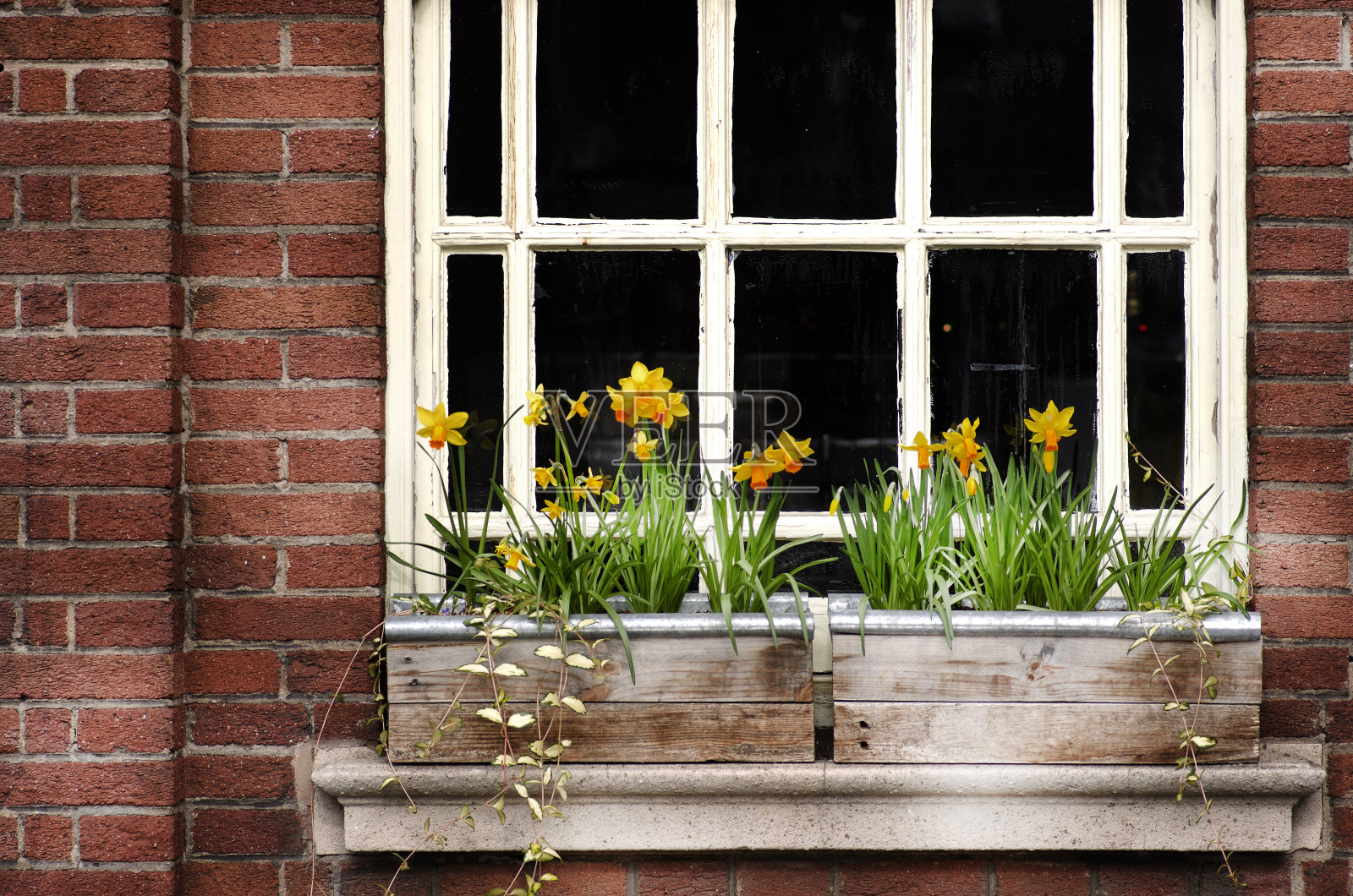 木窗和砖墙上的花盒。英国的曼彻斯特照片摄影图片