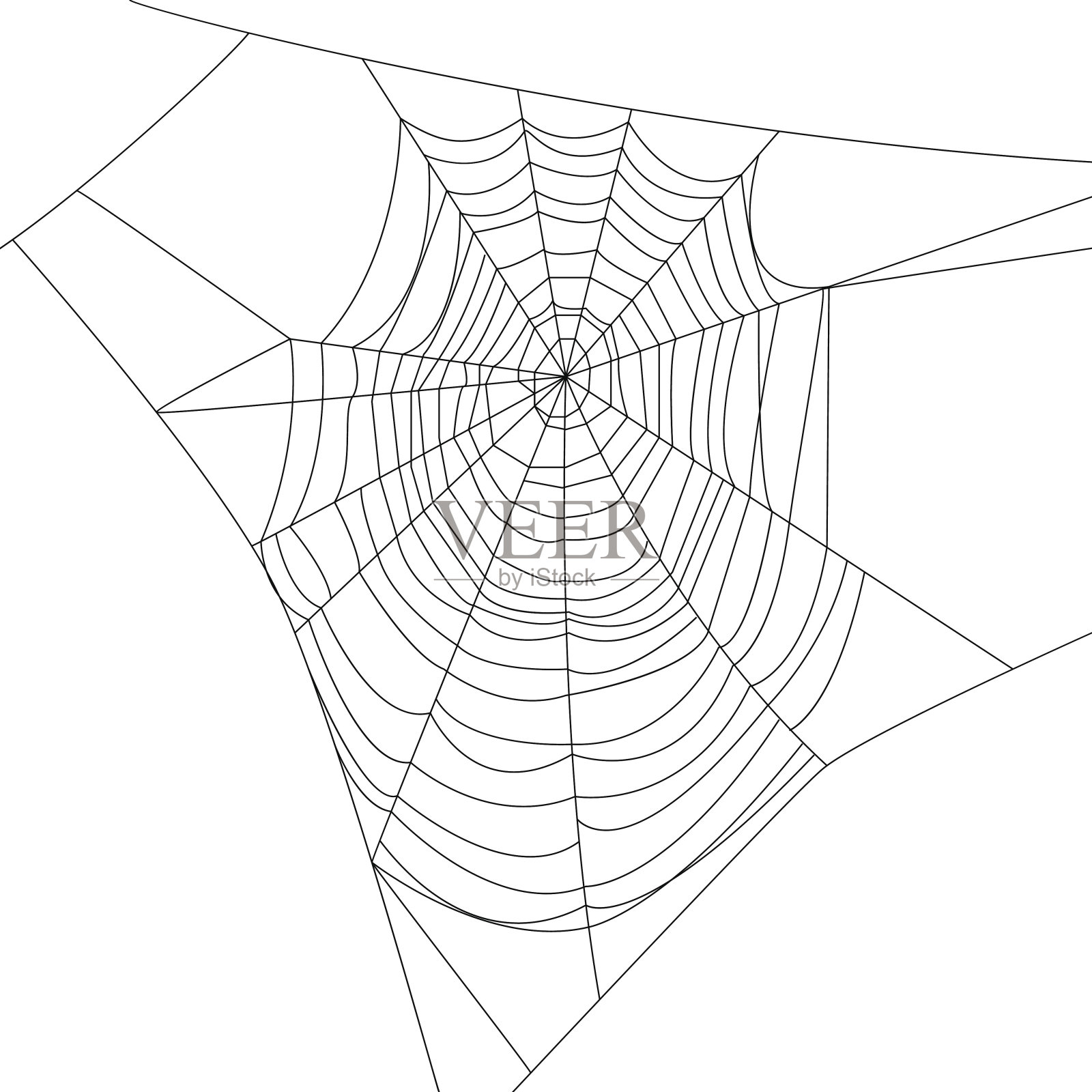 蜘蛛网插画图片素材