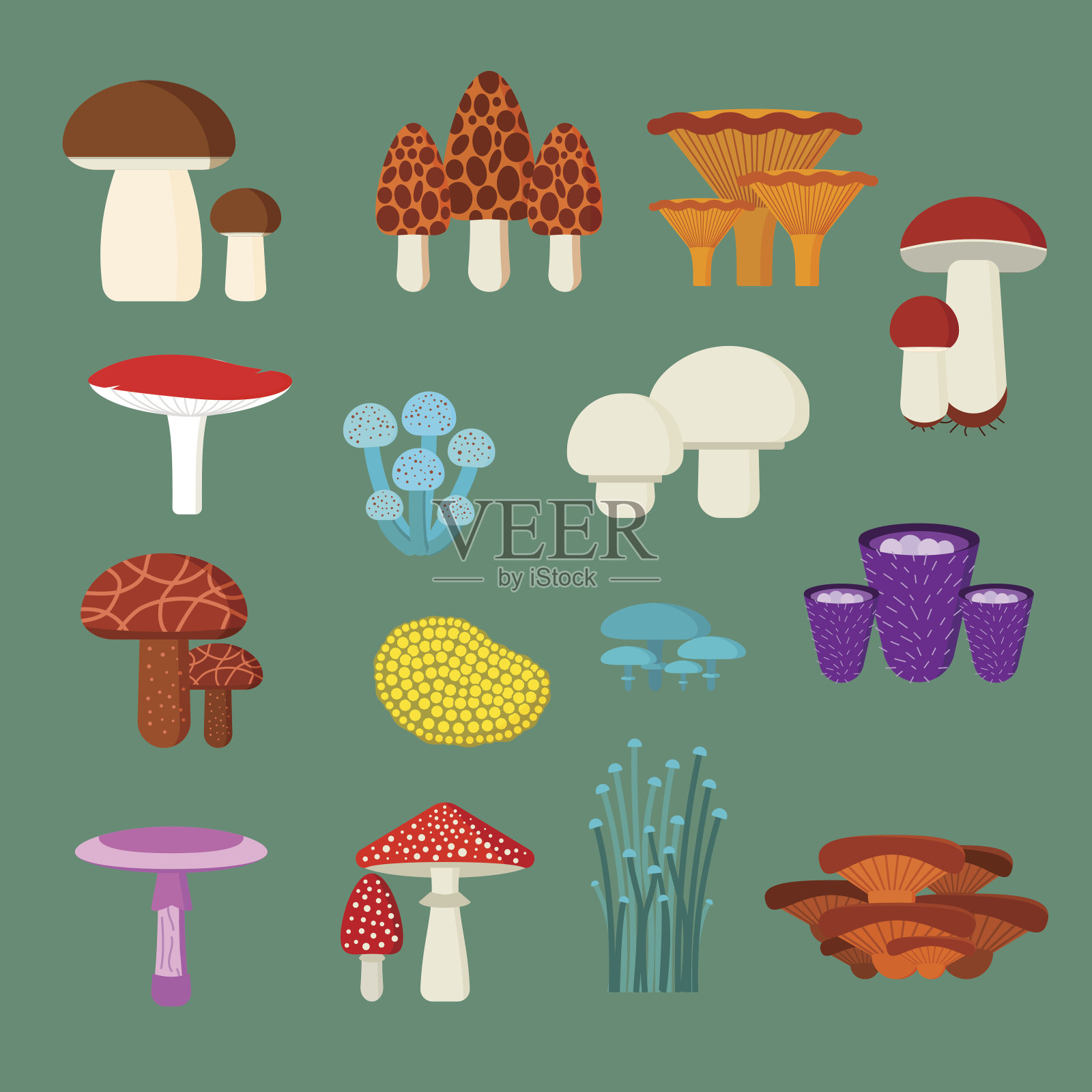蘑菇矢量插图集插画图片素材