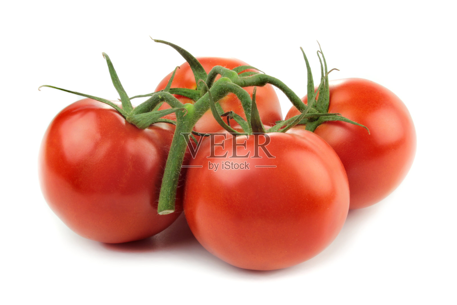 新鲜的西红柿照片摄影图片