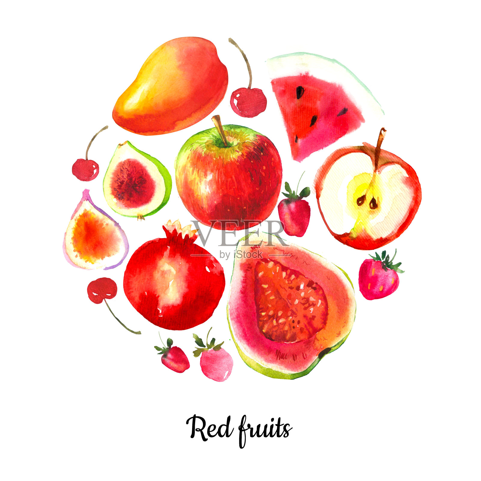用水彩食物做插图。红色水果素描集。插画图片素材