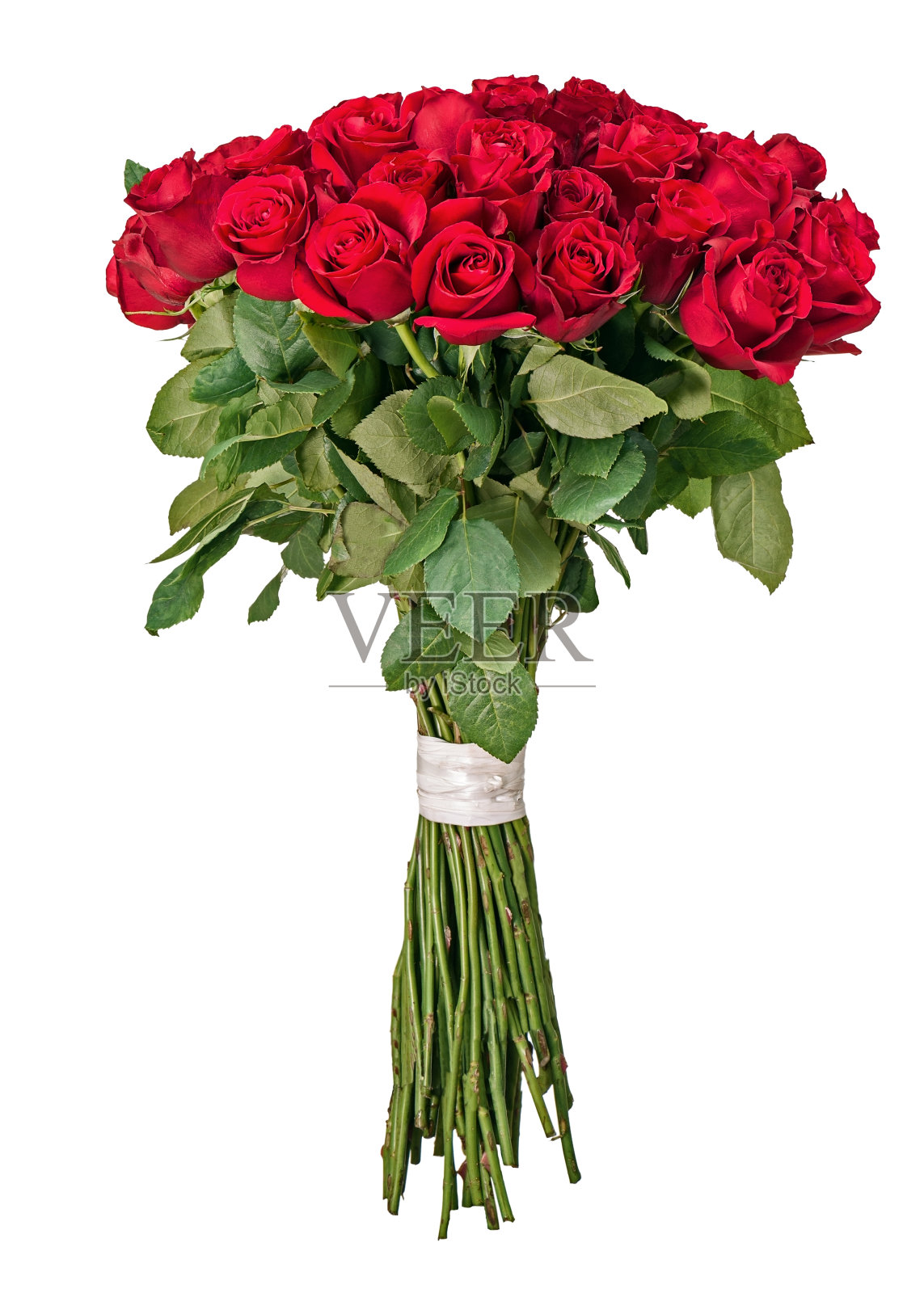 从红色玫瑰孤立在白色背木的彩色花束照片摄影图片