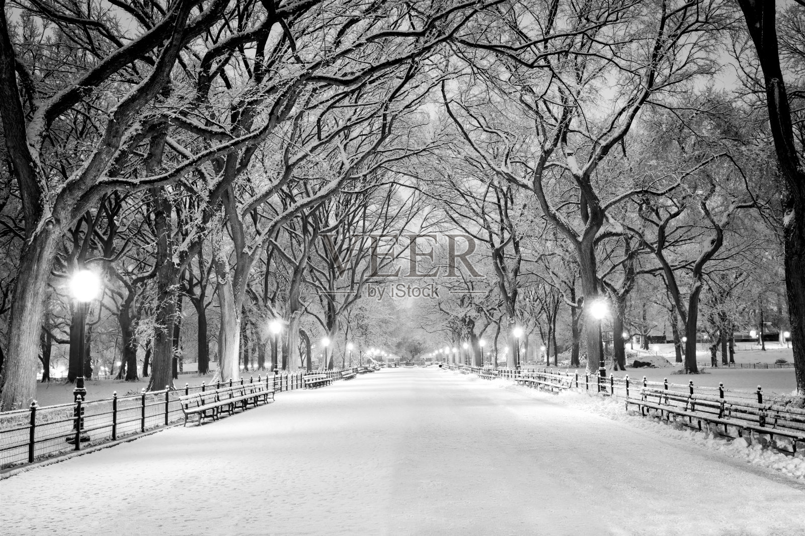 黎明时分，纽约中央公园被雪覆盖照片摄影图片