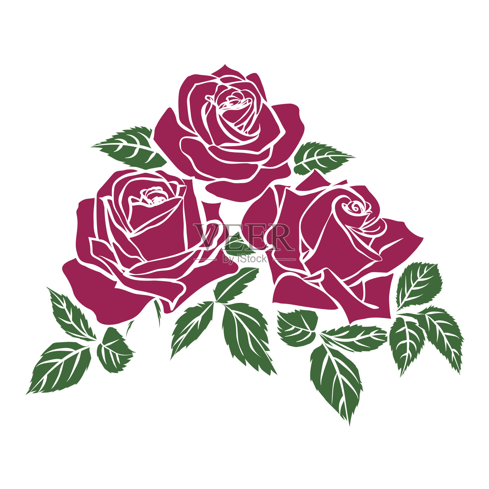 轮廓的玫瑰插画图片素材