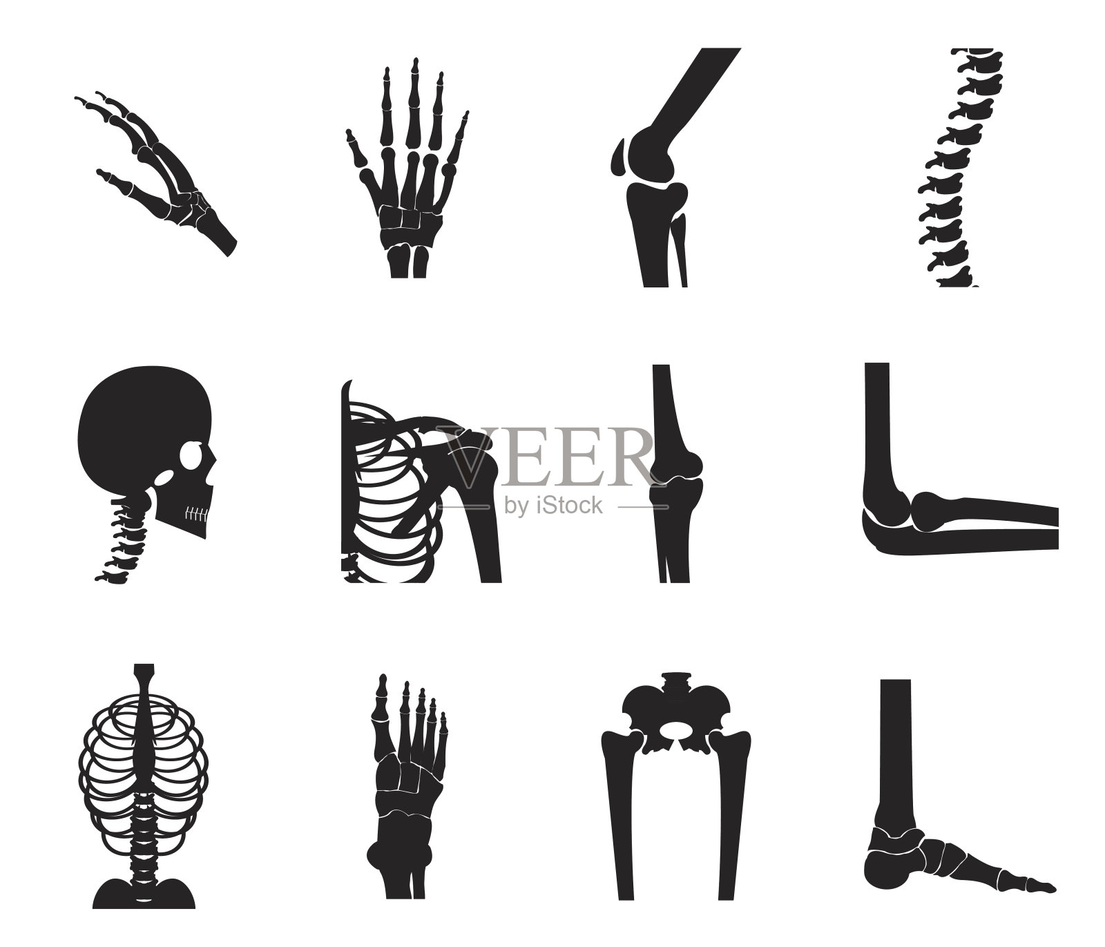 骨科和脊柱图标设置在白色背景设计元素图片
