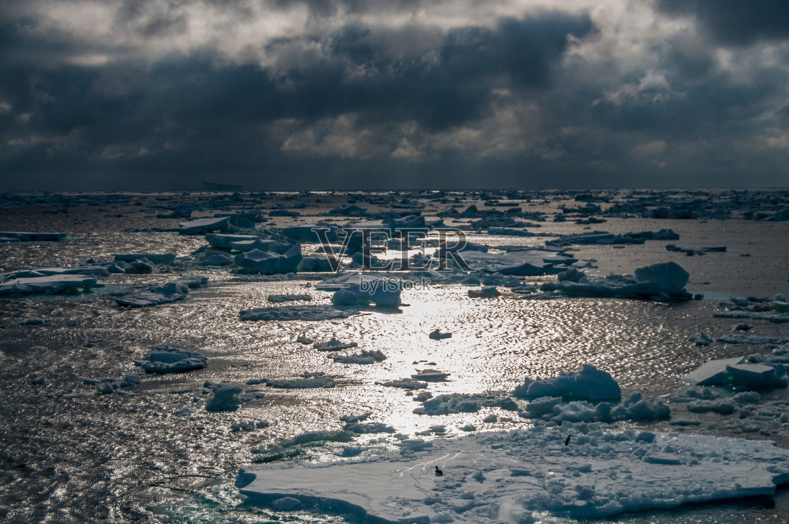 南大西洋的冰山照片摄影图片