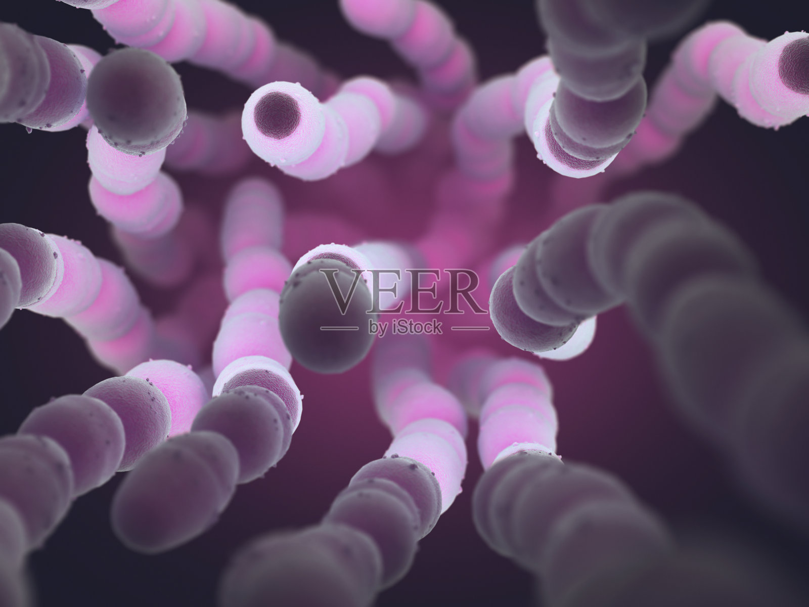 肺炎链球菌的细菌照片摄影图片