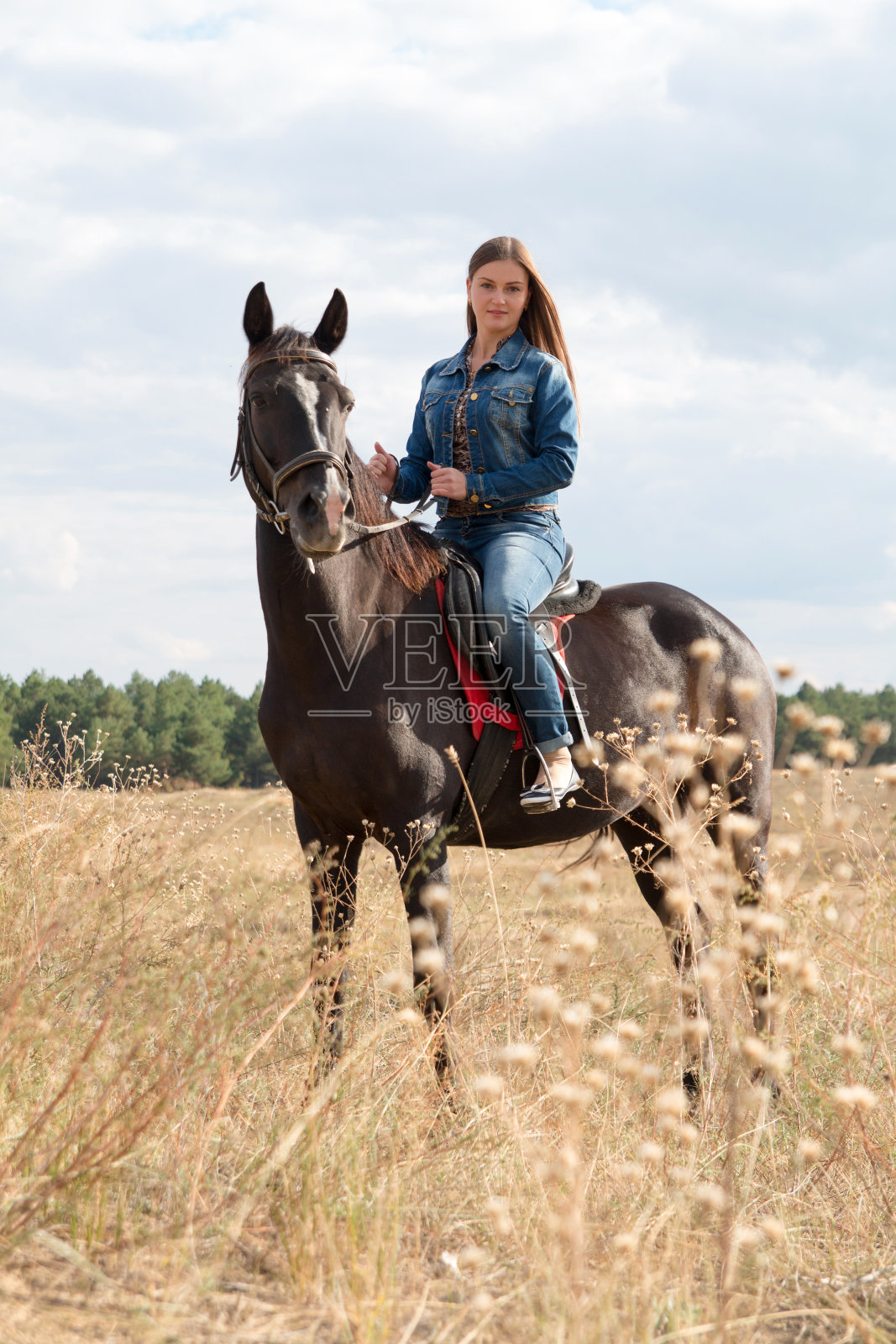 穿着牛仔服装骑着一匹黑马的年轻女孩。照片摄影图片