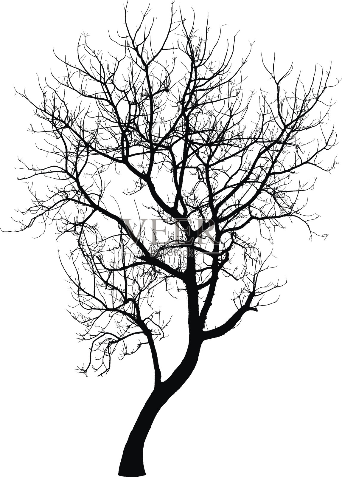 冬天的树:向量设计元素图片