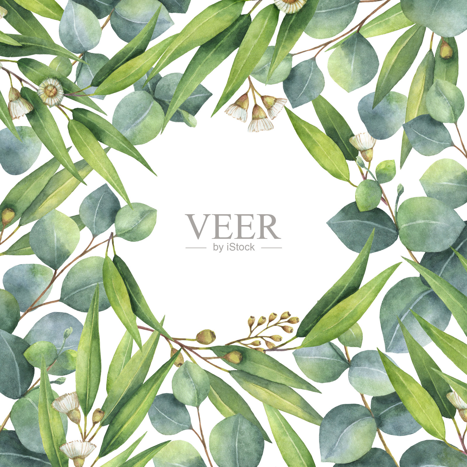 水彩方形花环与绿色桉树叶和树枝。插画图片素材