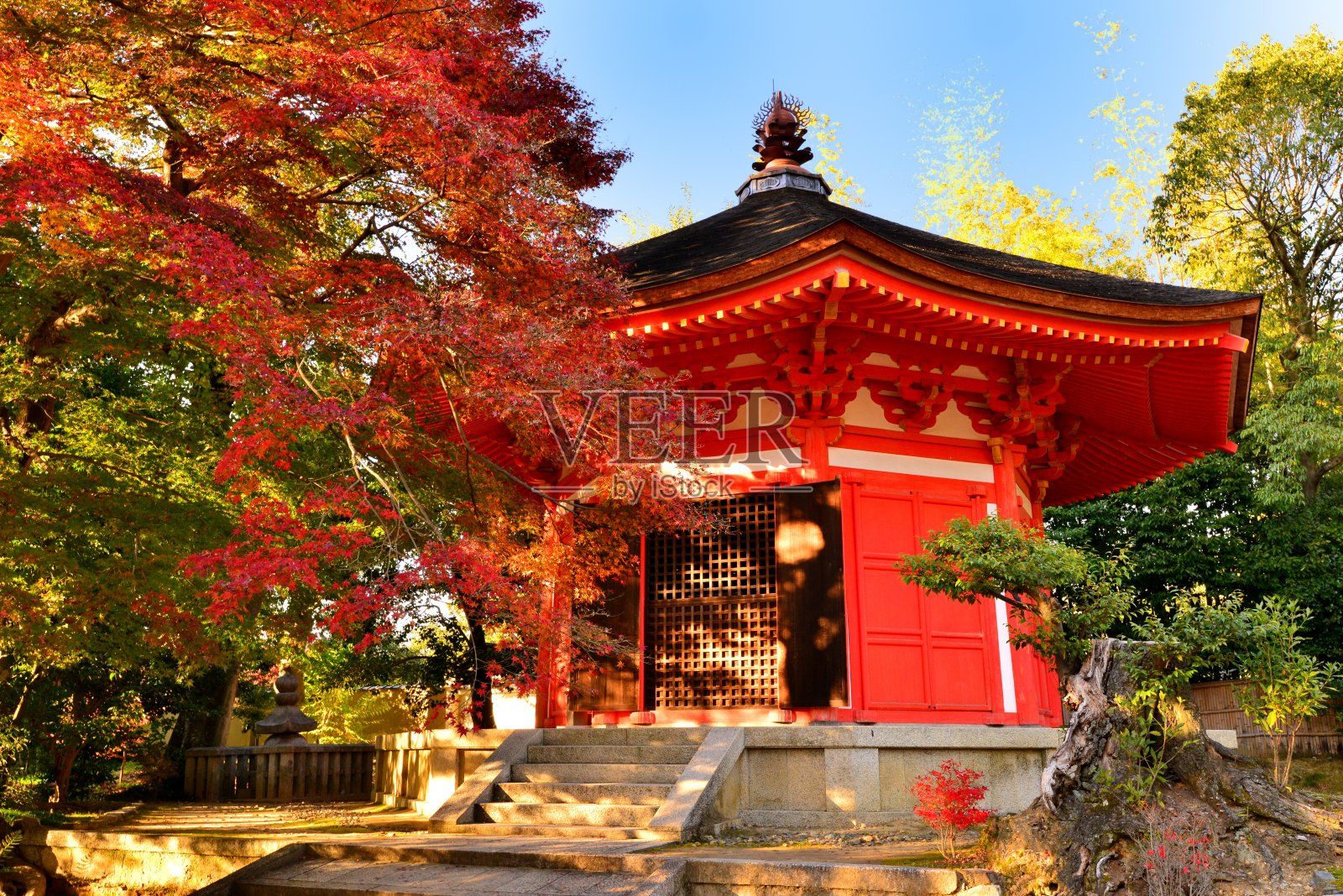 日本京都东福寺的秋叶照片摄影图片