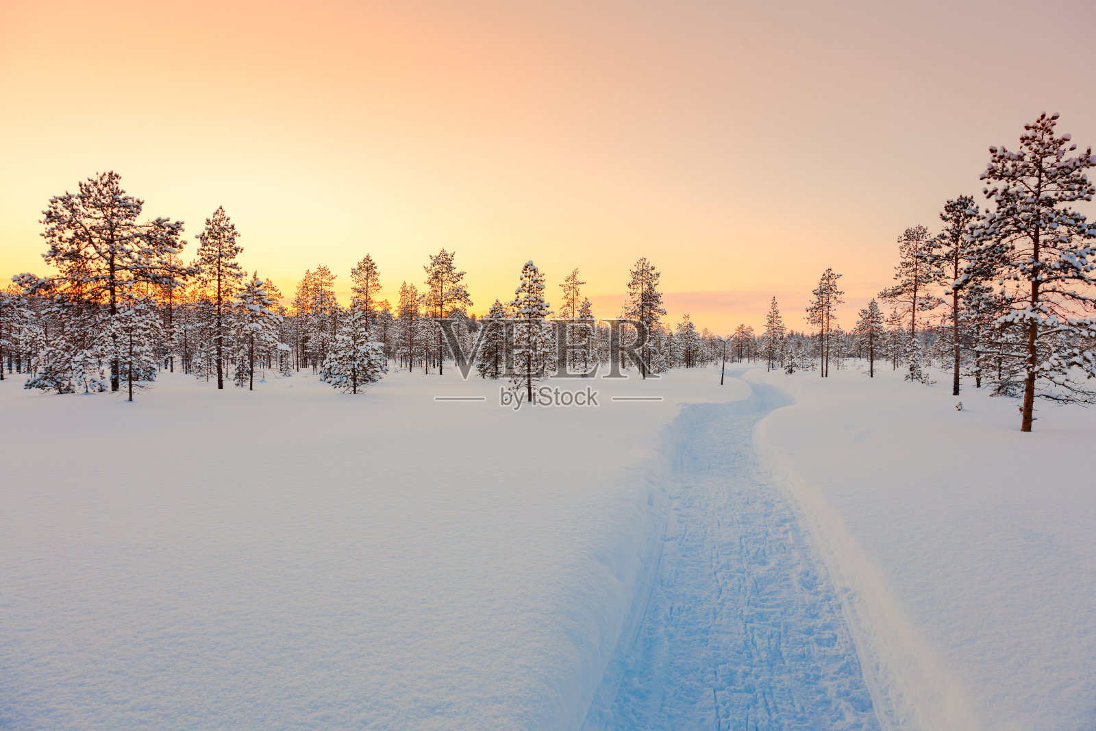 日落在冬日的雪林里，风景优美照片摄影图片