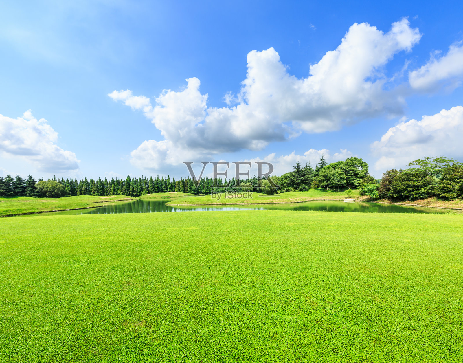 在夏天的一天，绿色的草地和蓝色的天空照片摄影图片