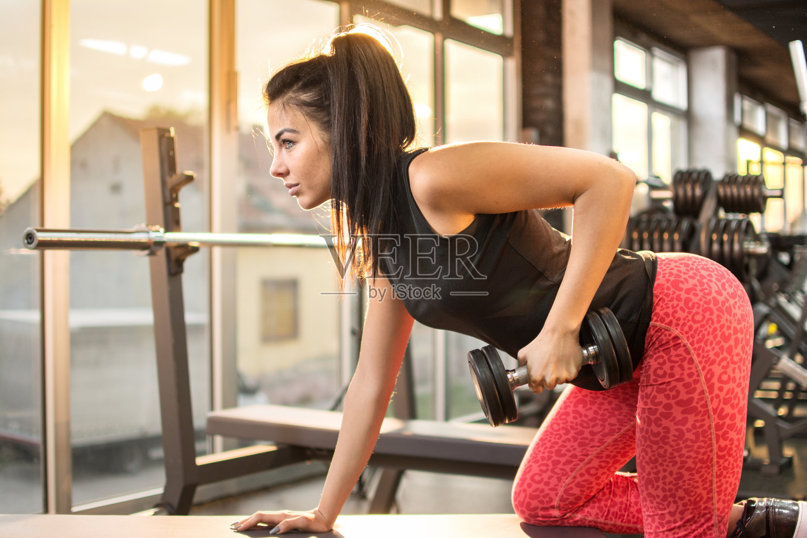 年轻性感的女人举重在健身房。照片摄影图片