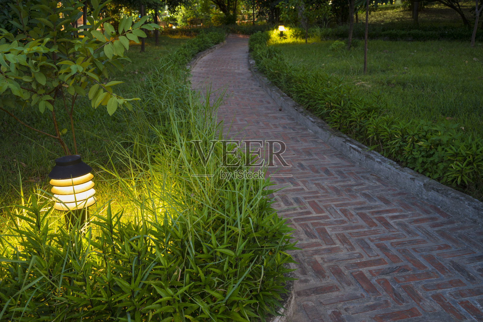 黄昏花园景色与灯和砖弯道照片摄影图片
