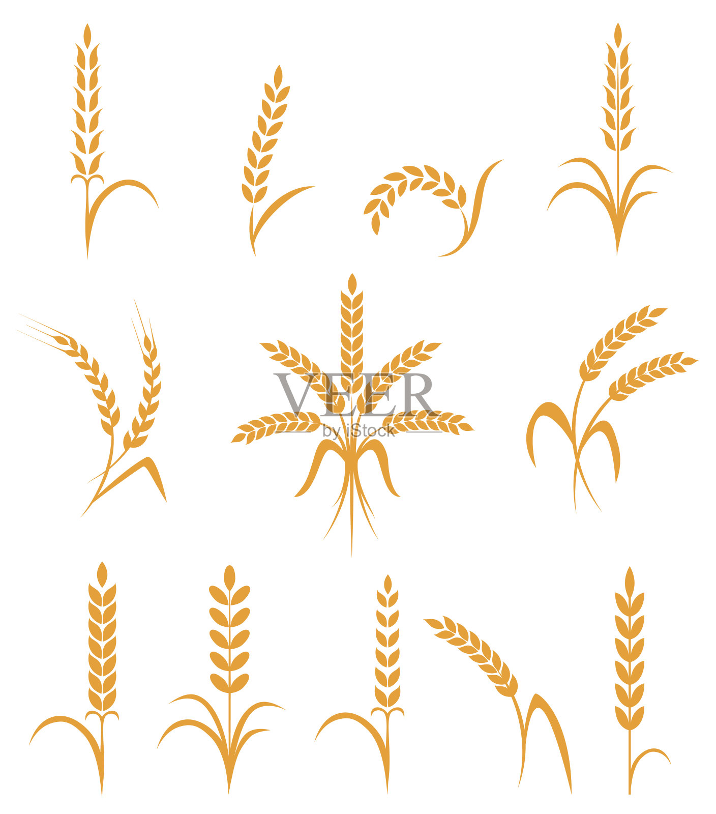 小麦穗或水稻图标设置。孤立的农业符号插画图片素材