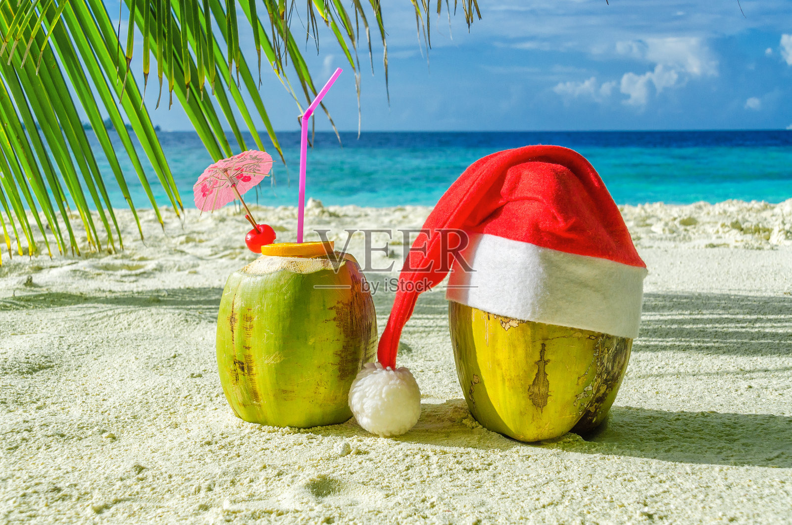棕榈树下沙滩上的圣诞椰子照片摄影图片