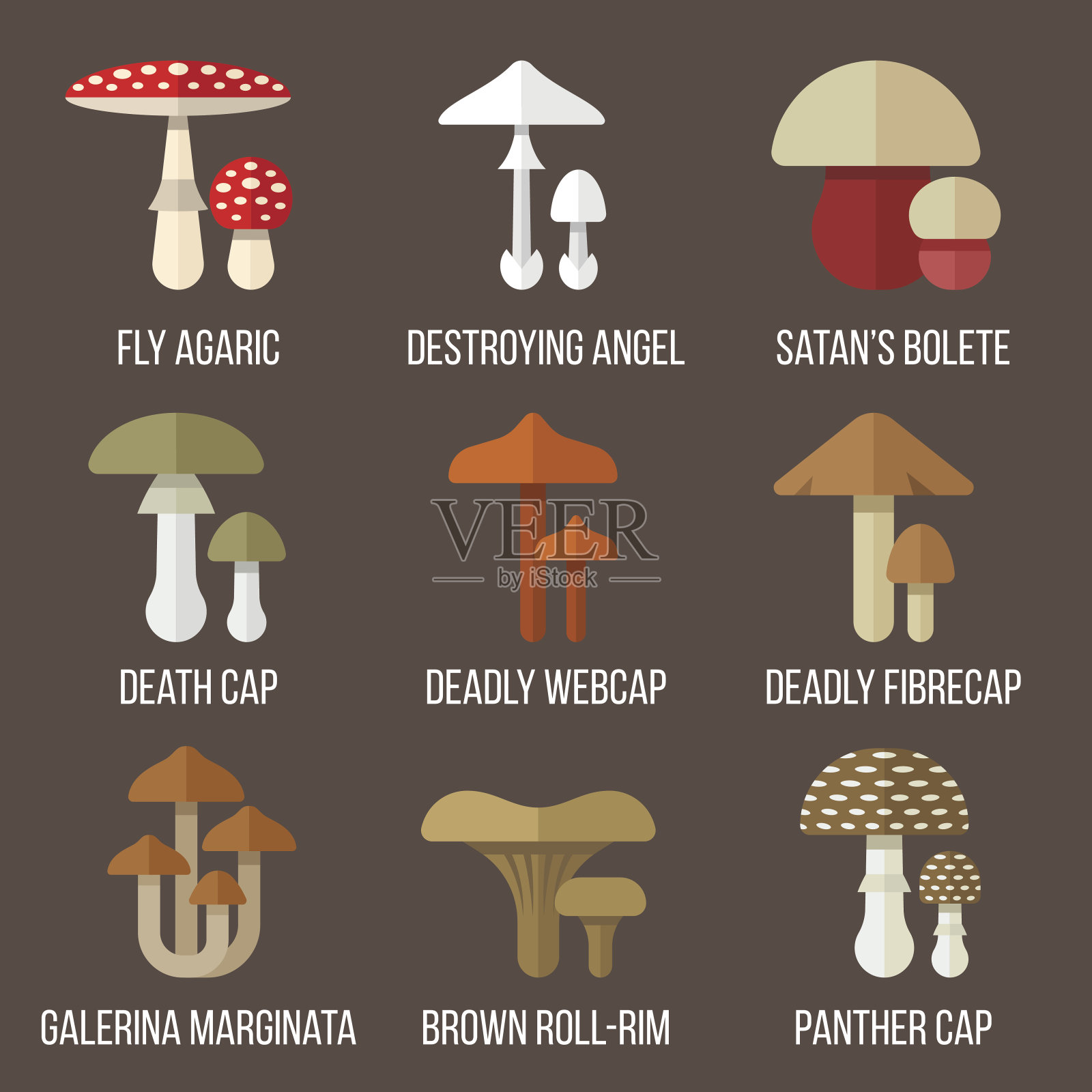 有毒的蘑菇插画图片素材