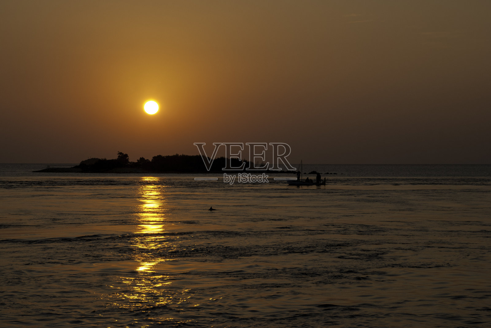 日落与海豚在马尔代夫照片摄影图片