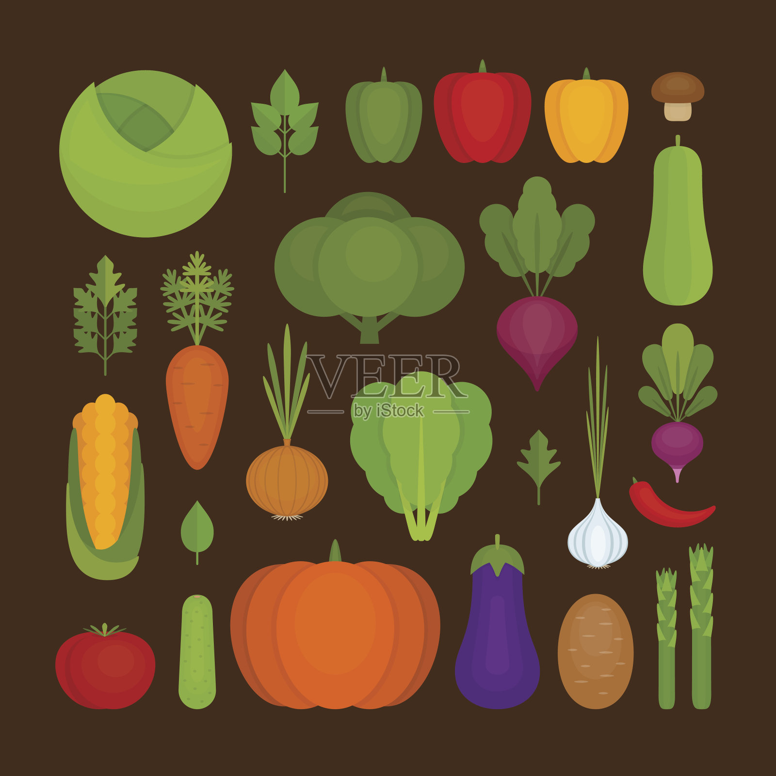 蔬菜的图标集。有机健康食品。插画图片素材