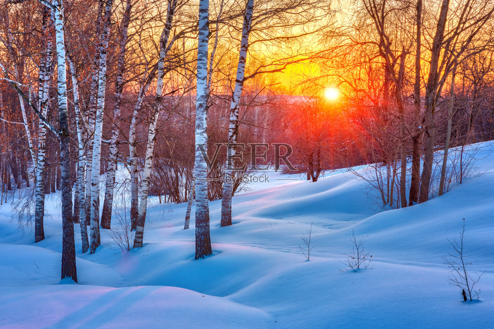 丰富多彩的冬季日落照片摄影图片