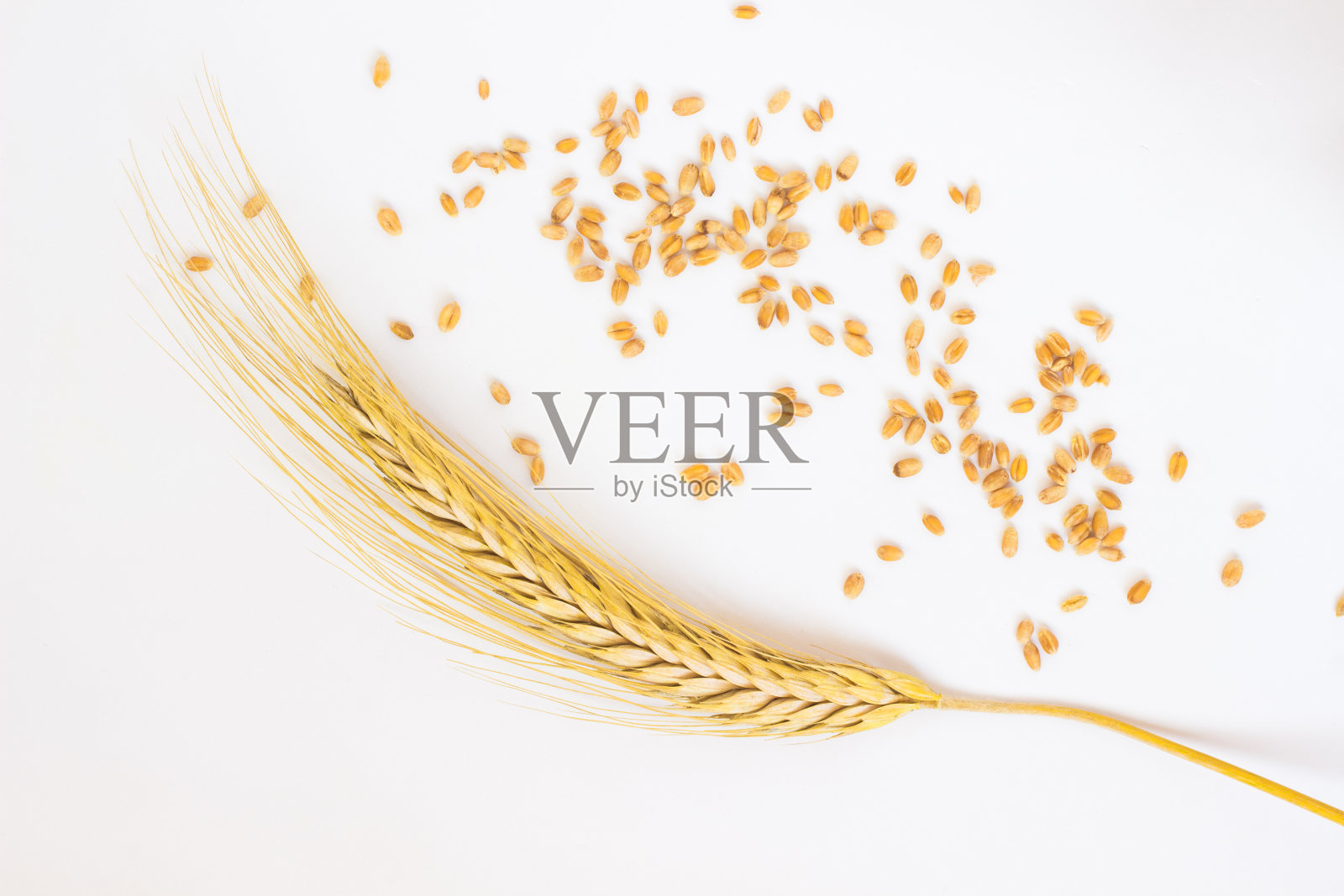 小麦和谷粒上的小穗照片摄影图片