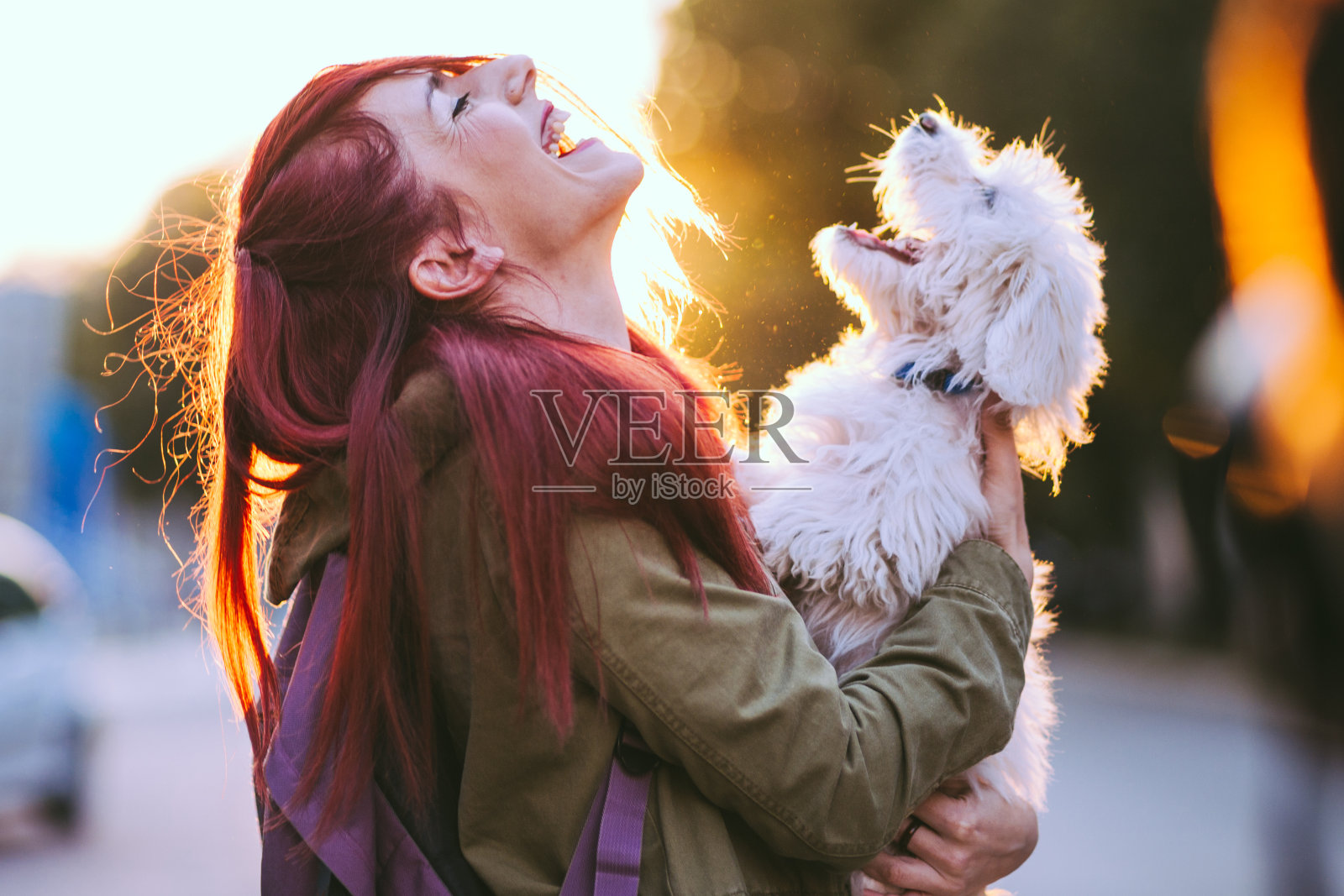 迷人的红发女孩和白色小狗一起微笑照片摄影图片