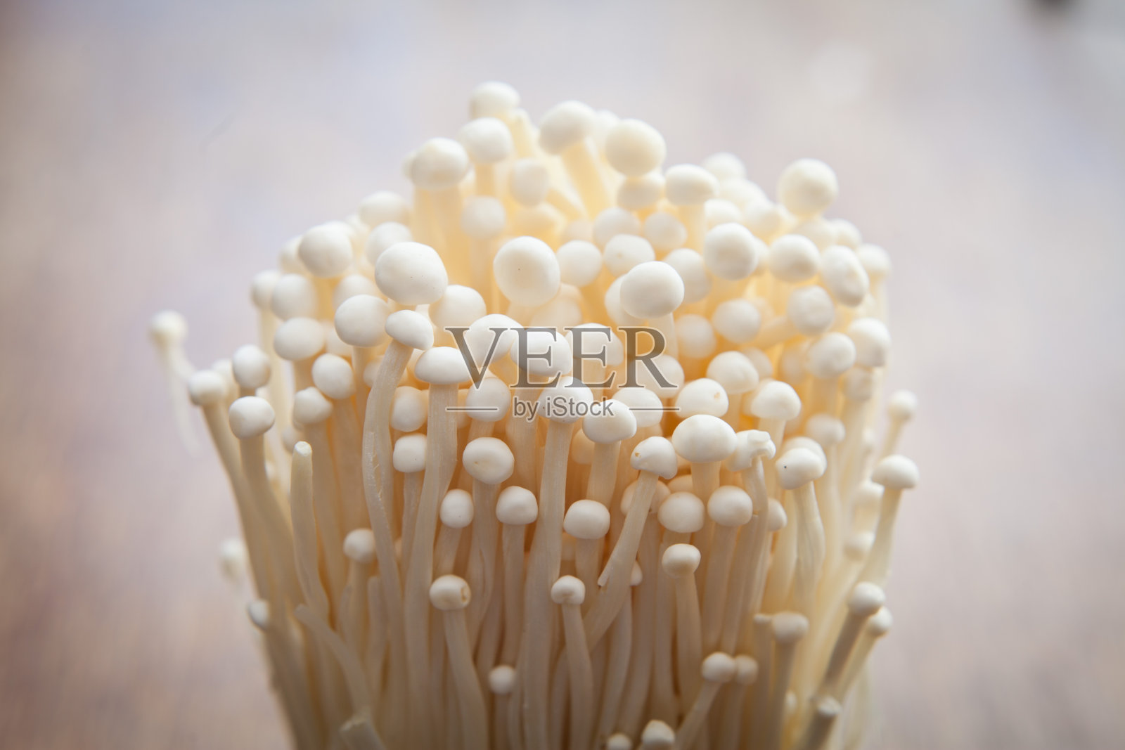朴蘑蘑菇照片摄影图片