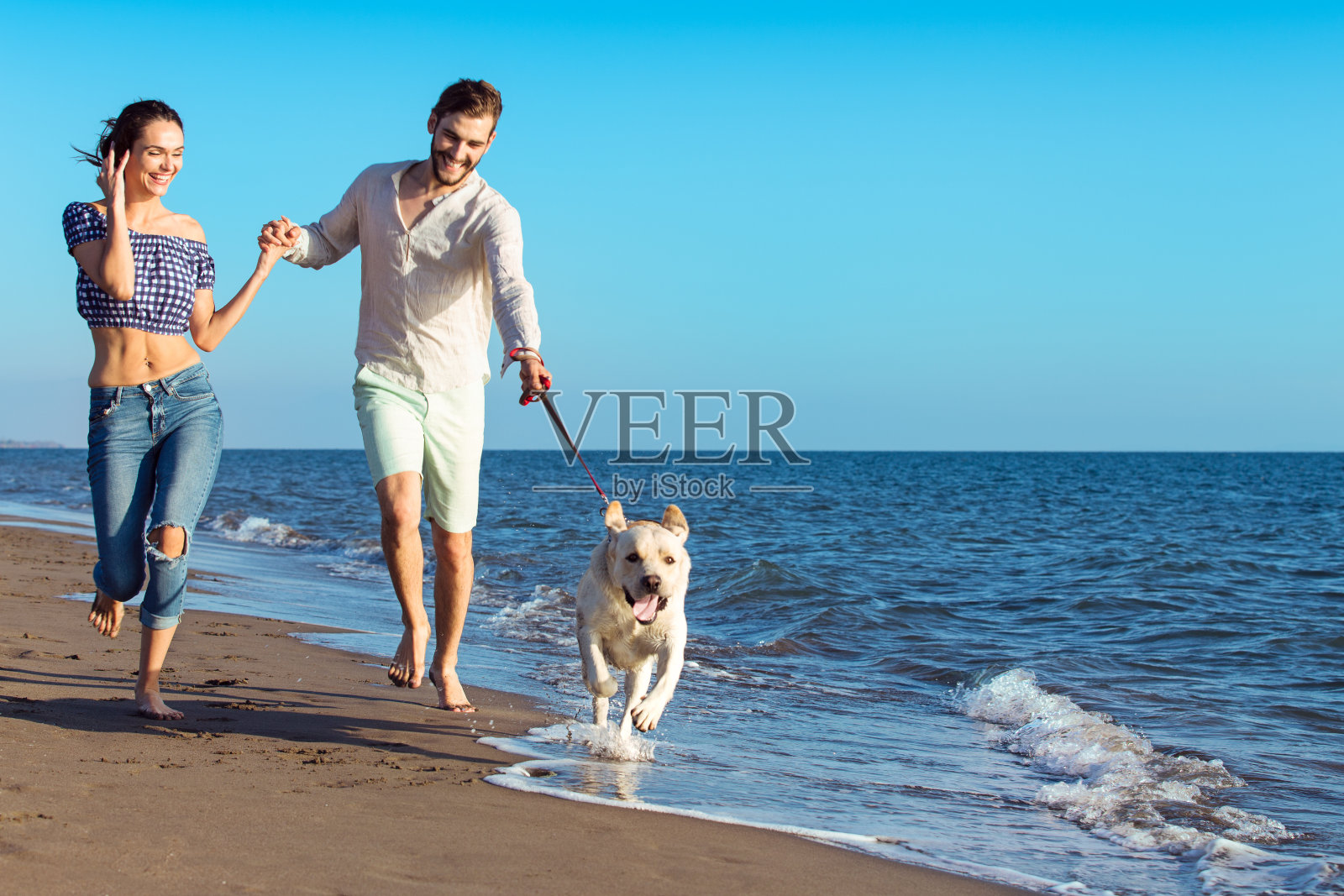一对幸福的夫妇和狗在海滩上的肖像照片摄影图片