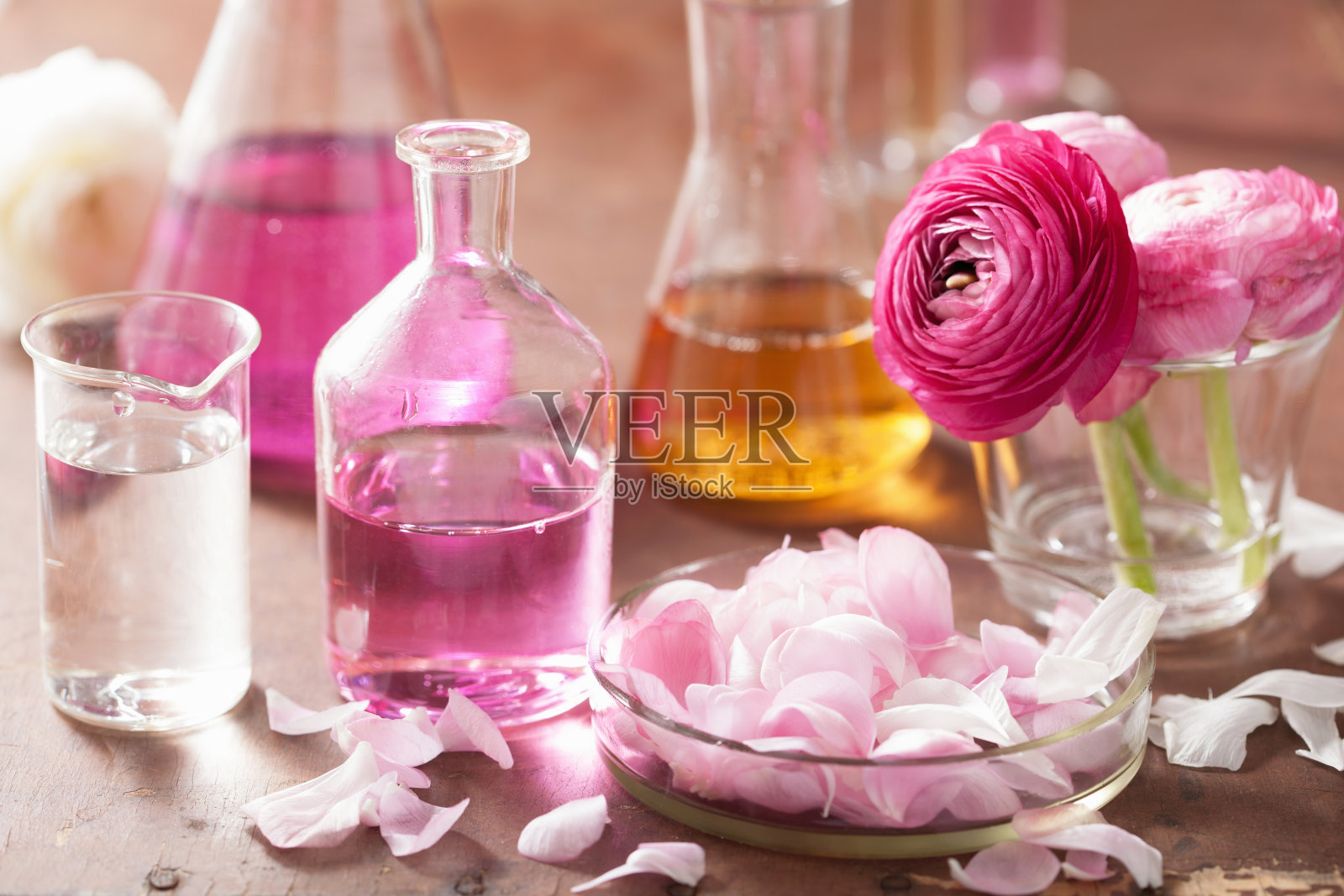 炼金术和芳香疗法与毛茛花和烧瓶照片摄影图片