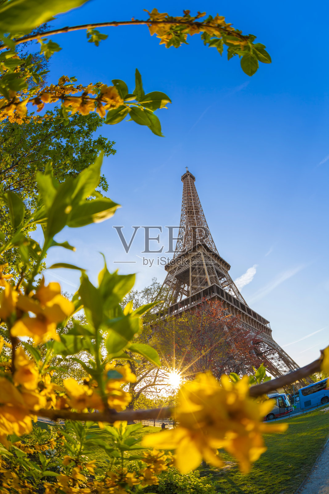 在法国巴黎的春天，埃菲尔铁塔照片摄影图片