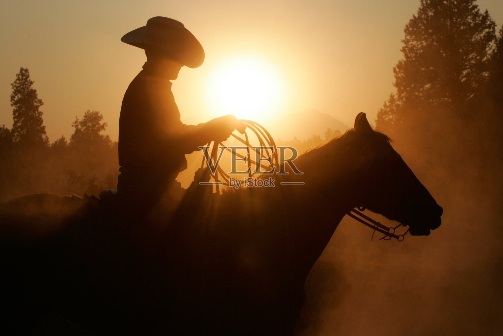 牛仔和马的剪影照片摄影图片