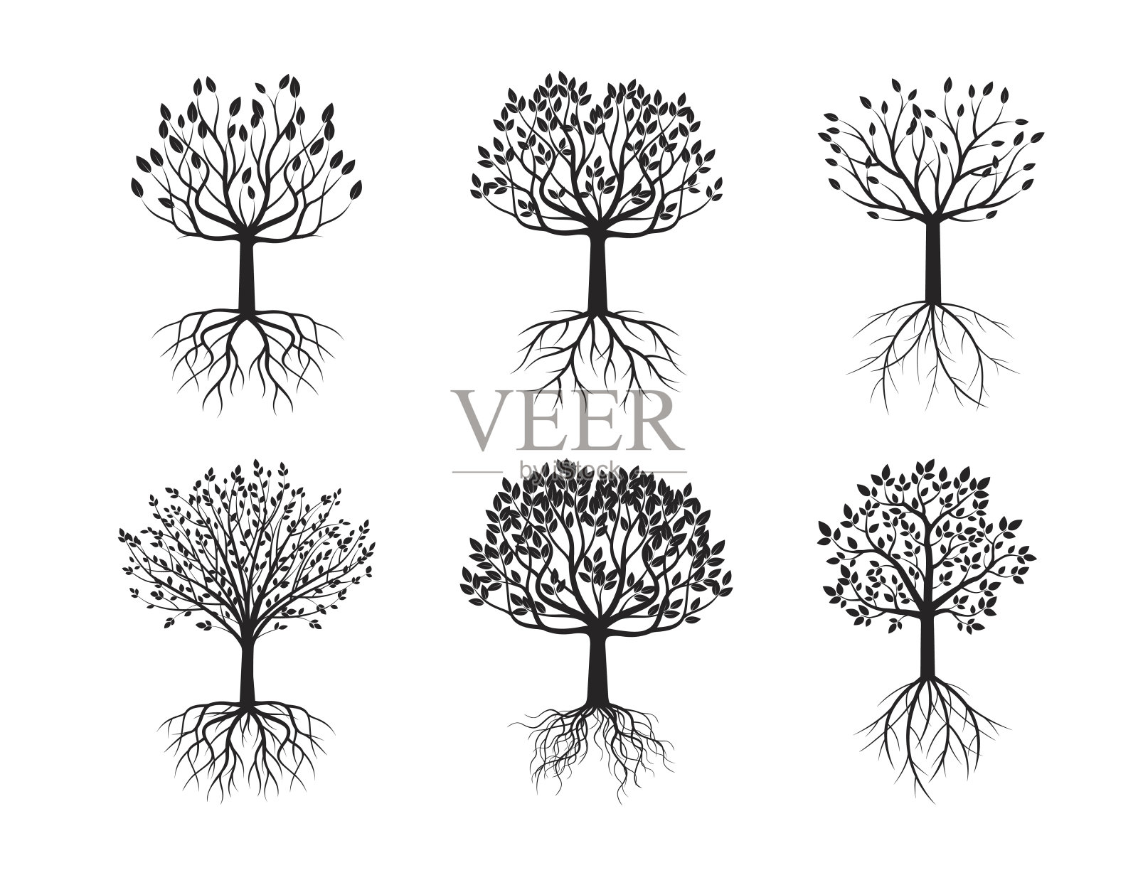 一组有根的树。插画图片素材