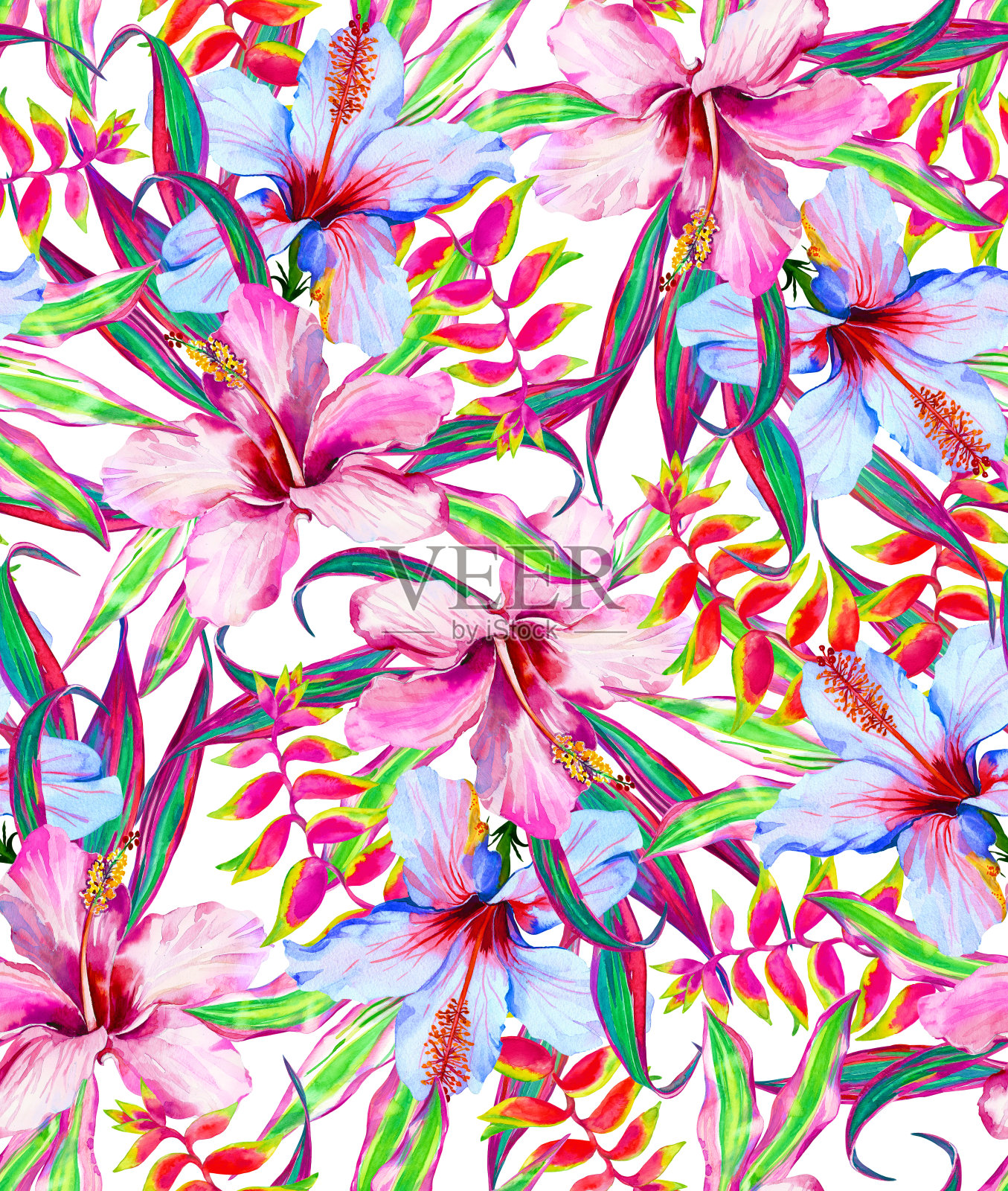 热带花卉图片素材-编号15000465-图行天下