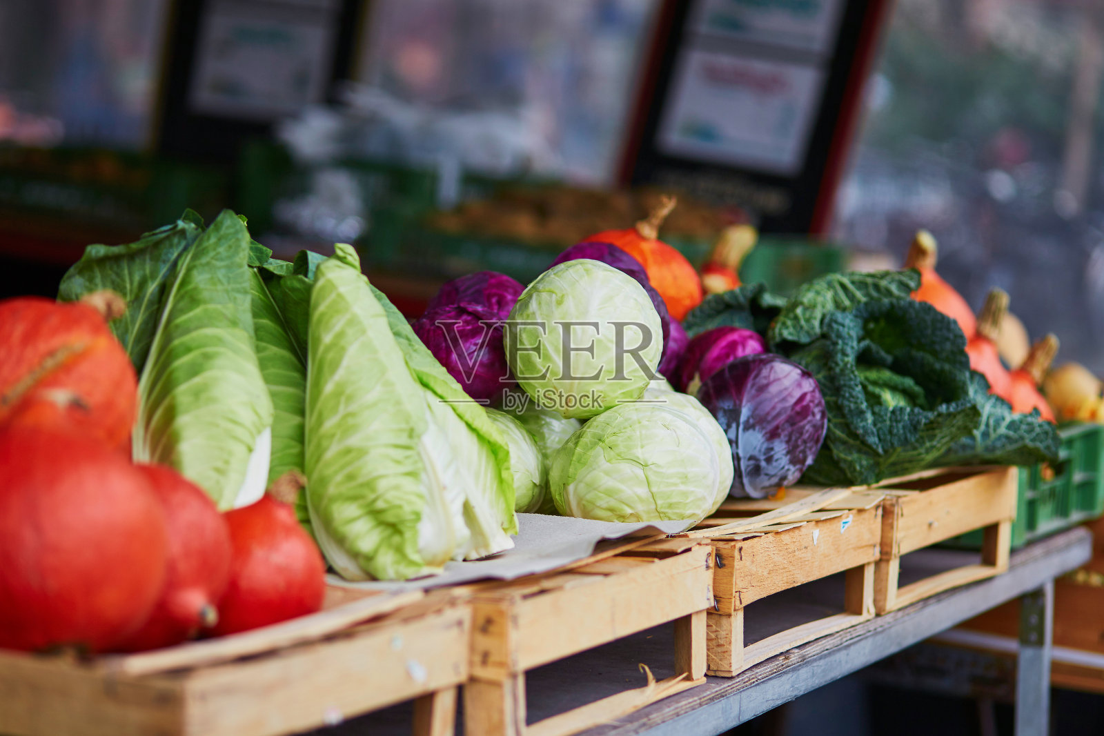 农贸市场上成熟的南瓜和卷心菜照片摄影图片