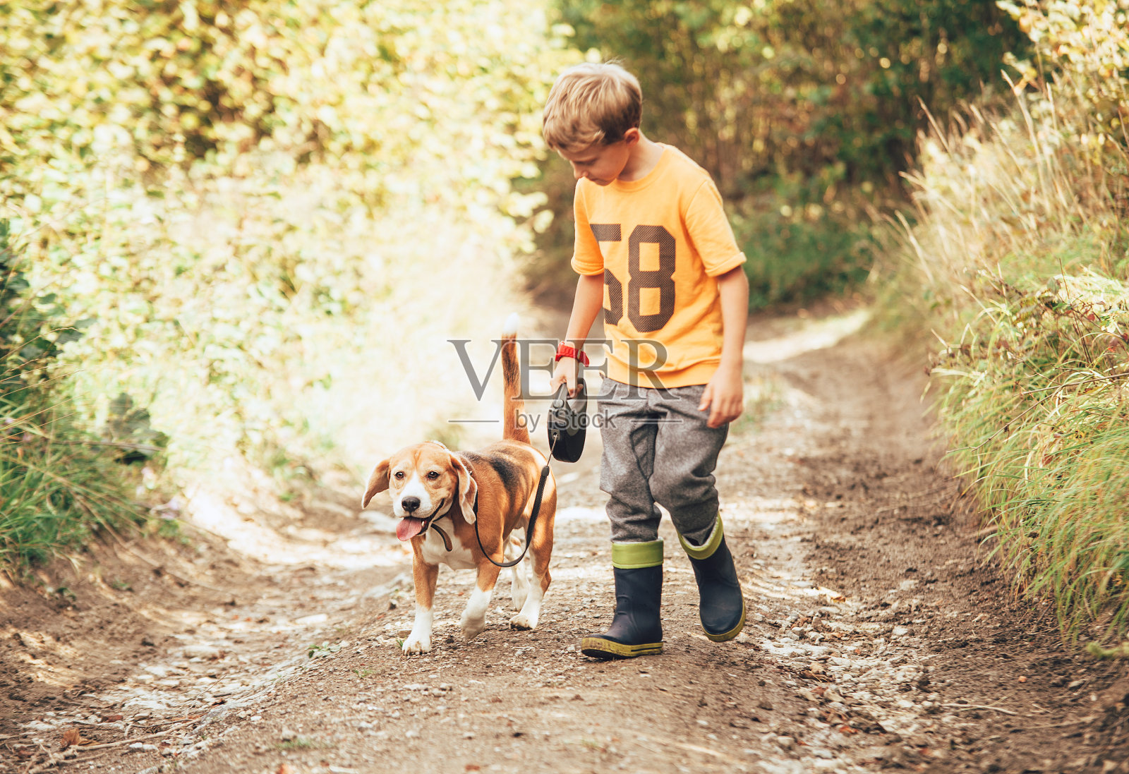 男孩和他的小猎犬在乡间小路上散步照片摄影图片