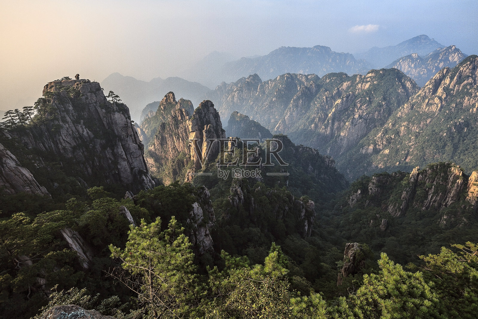 猴子看海，中国黄山。照片摄影图片
