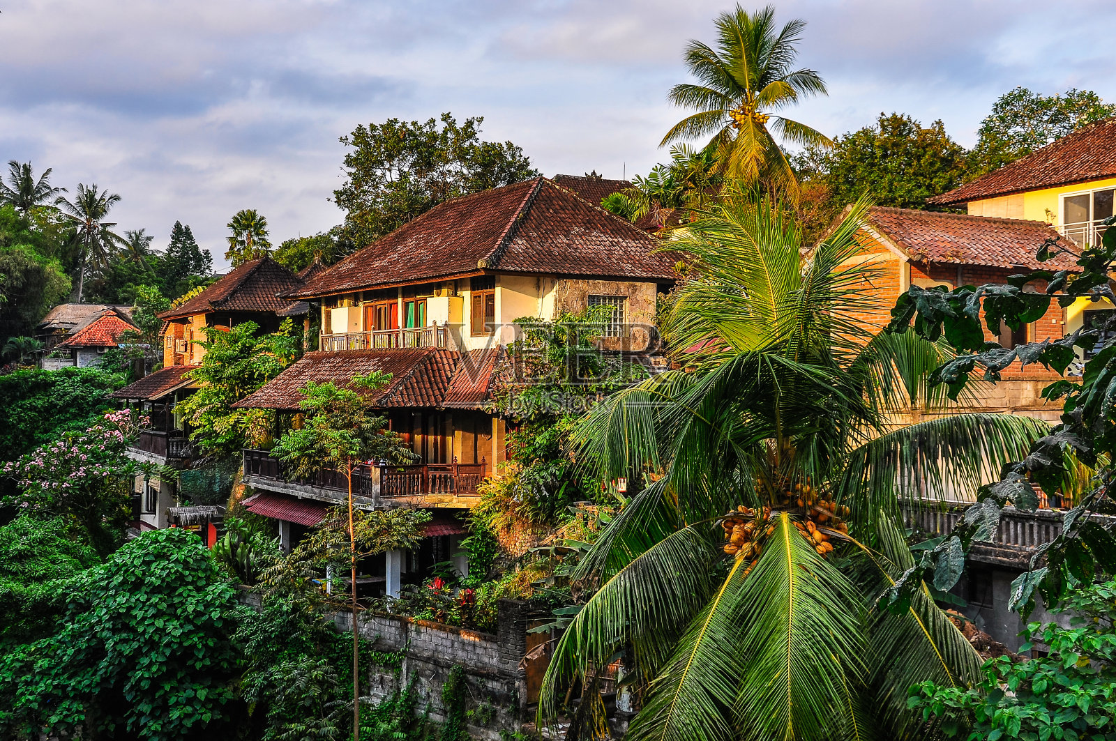 巴厘岛乌布热带森林中的房屋照片摄影图片