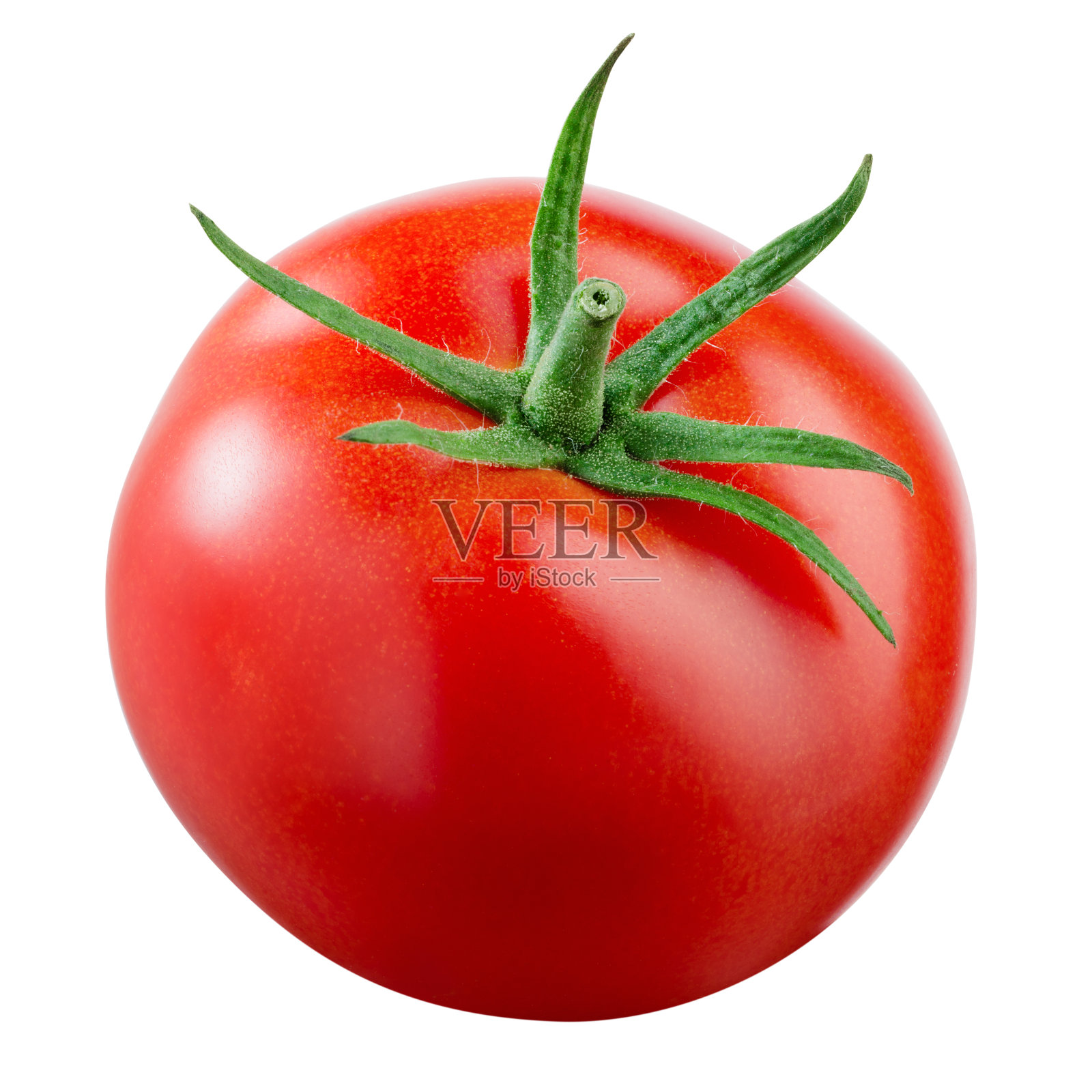 番茄。新鲜蔬菜孤立在白色。剪切路径。照片摄影图片