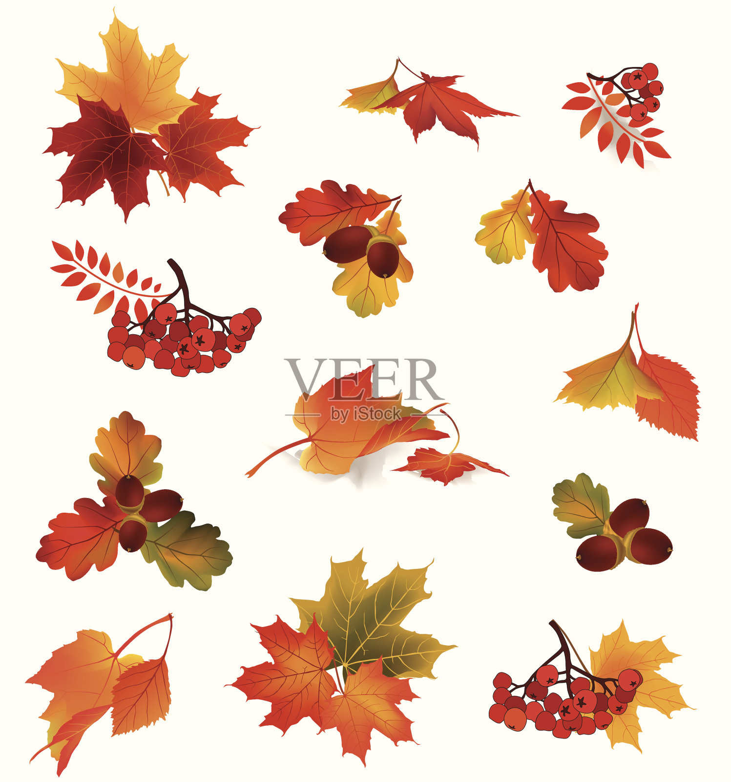 秋天的图标集。秋季符号向量集合。设计元素图片